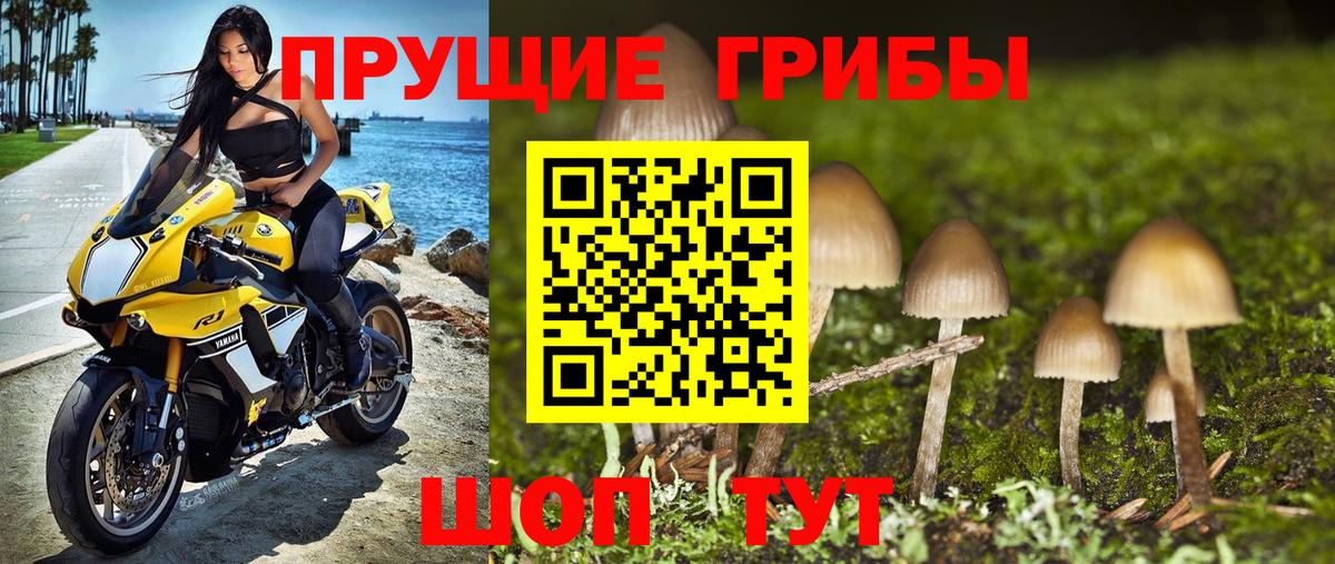 Краснотурьинск  как найти закладки  Вход с VPN  Псилоцибиновые грибы мухоморы 